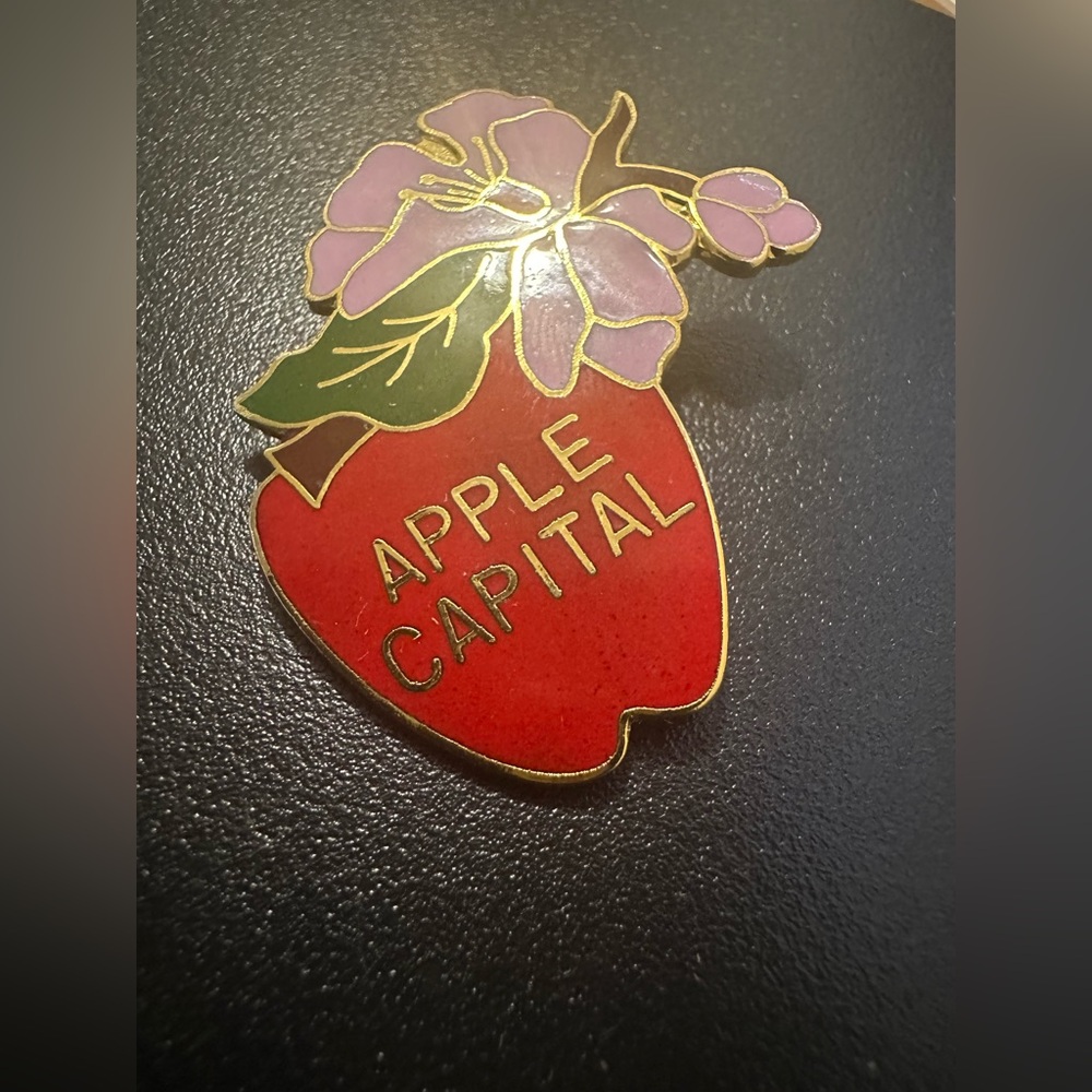 Vintage  Enamel “Apple Capital"  Brooch